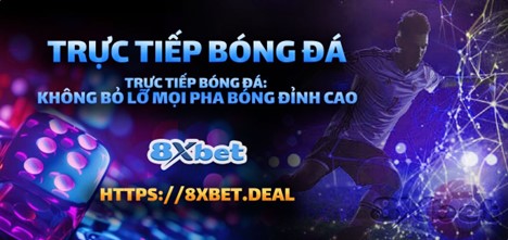 Xem trực tiếp bóng đá hôm nay tại 8xbet